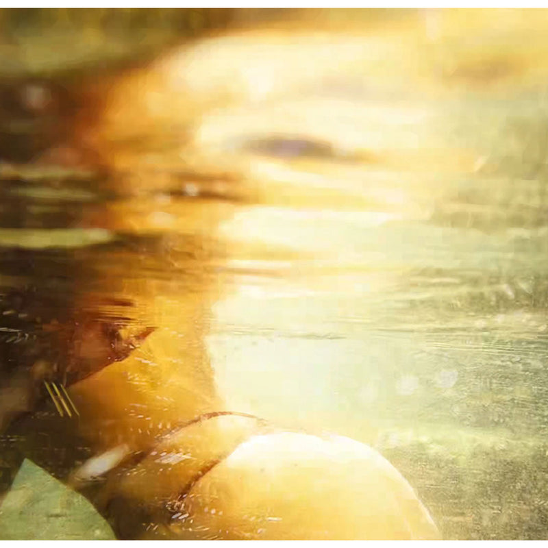 13ème Lune Lingerie