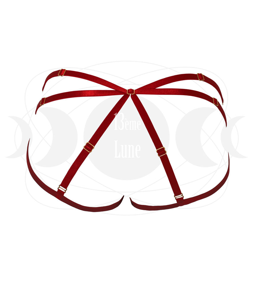 Culotte Harnais couleur rouge de dos
