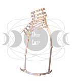 Harnais Hydra couleur nude de profil